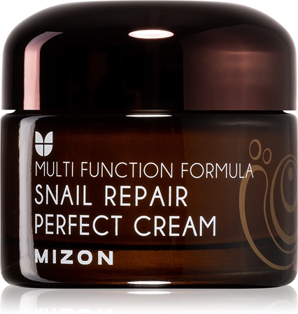 Mizon Multi Function Formula Snail crema viso con bava di lumaca filtrata al 60%