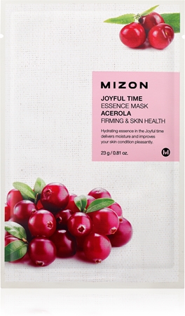 Mizon