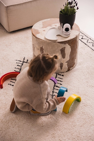 Momini DreamEye additional camera