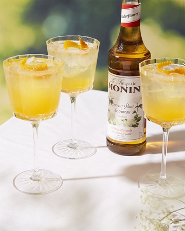Monin Le Sirop Bezinka sirup pro přípravu nápoje