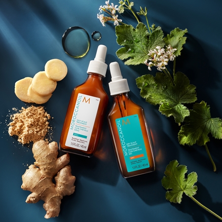 Moroccanoil Treatment Oily Scalp Hair Treatment for oily scalp