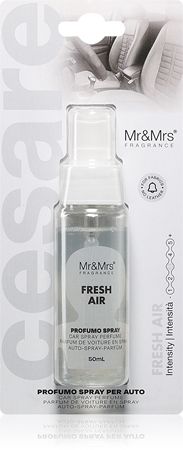 Mr & Mrs Fragrance Cesare Fresh Air osvěžovač vzduchu do auta