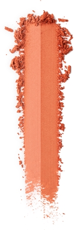 MUA Makeup Academy Blushed Powder Blusher pudrasto rdečilo