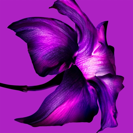 Mugler Alien Extraintense parfémovaná voda pro ženy