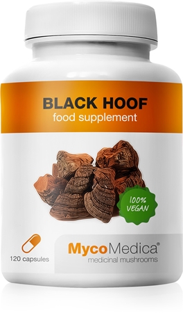 MycoMedica Black Hoof 30% wsparcie prawidłowych funkcji organizmu