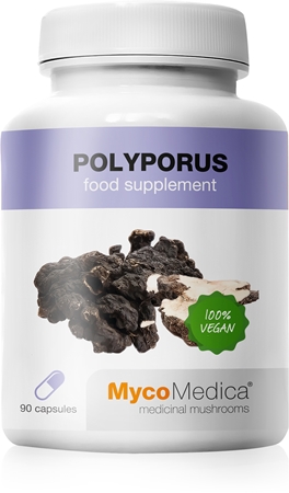 MycoMedica Polyporus 30% kapsułki na piękne włosy i skórę