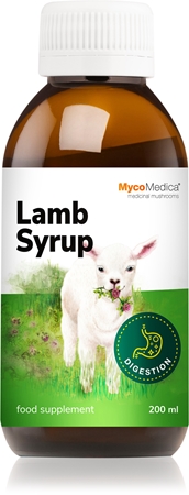 MycoMedica Lamp Syrup syrop z ekstraktami z grzybów leczniczych