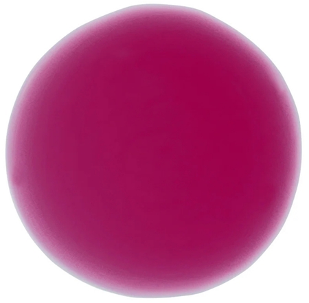 Nails Inc. 45 Second Speedy Gloss Quick - Drying Nail Polish