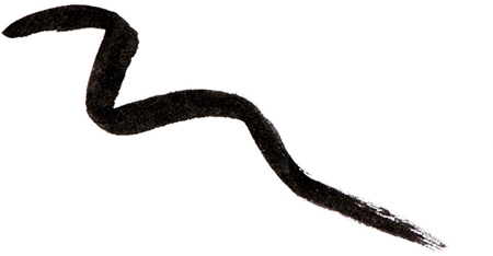 Naj Oleari Impeccable Eyeliner eyeliner liquide