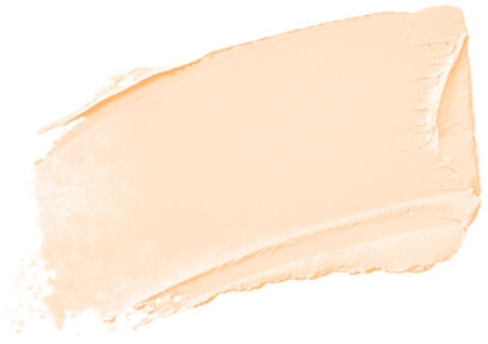 Naj Oleari Ultimate Cover Concealer correcteur couvrant