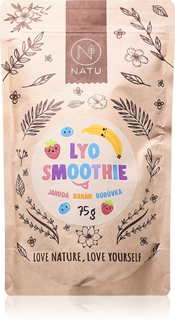 NATU Lyo mix smoothie mrazem sušené ovoce