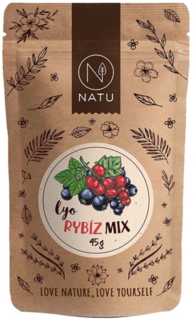 NATU Lyo mix ríbezlí mrazom sušené ovocie