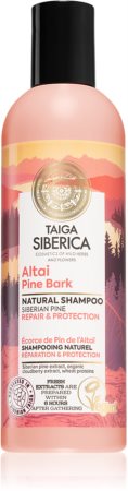 Natura Siberica Taiga Siberica Altai Pine Bark обновляющий шампунь для поврежденных волос