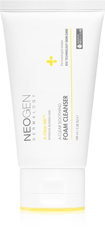 Neogen Dermalogy A-Clear Soothing Foam Cleanser Dermo Soothing Deep Cleansing Foam for problem skin, acne