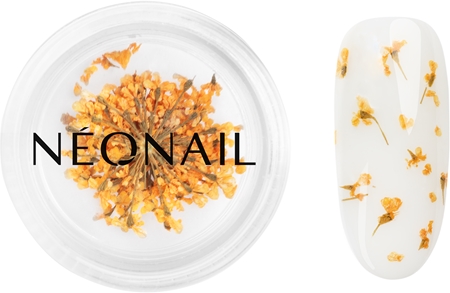 NEONAIL Dried Flowers flores secas para unhas