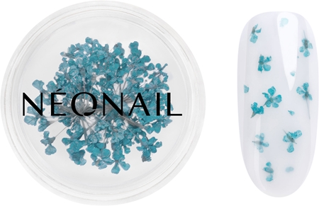 NEONAIL Dried Flowers flores secas para unhas