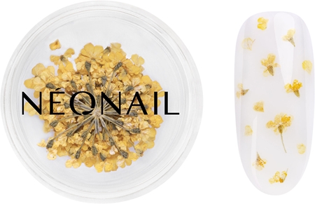 NEONAIL Dried Flowers flores secas para unhas