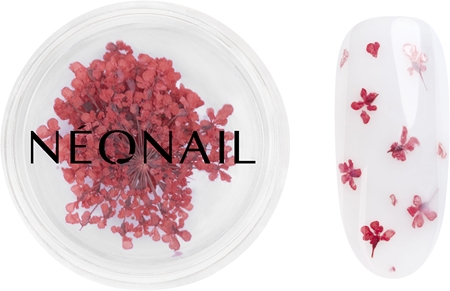 NEONAIL Dried Flowers flores secas para unhas