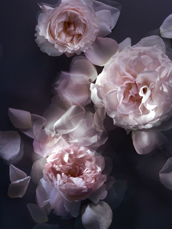 NINA RICCI L'Extase Caresse de Roses Eau de Parfum da donna