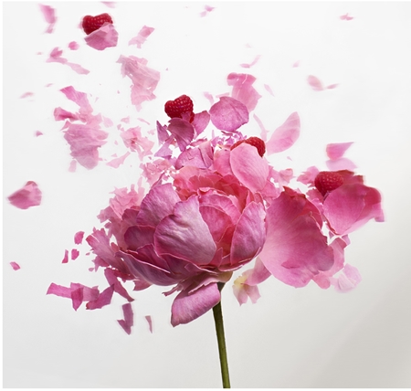 NINA RICCI Rose Extase Eau de Toilette pentru femei