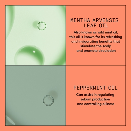 Nioxin System 4 Scalp + Hair Conditioner feuchtigkeitsspendender und nährender Conditioner für gefärbtes und geschädigtes Haar