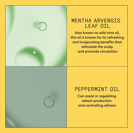 Nioxin System 1 κοντίσιονερ για την αντιμετώπιση της αραίωσης των μαλλιών