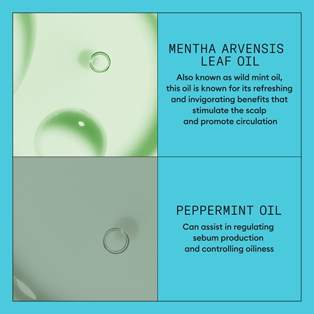 Nioxin System 3 Scalp + Hair Conditioner Balsam til farvebehandlet og udtyndet hår
