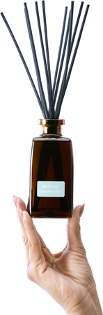 Notino Reed Diffuser Eucalyptus & Mint aroma difuzér