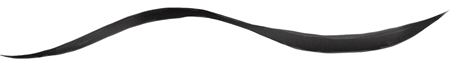 Notino Lifeproof Eye Liner Glossy Black Long-Lasting Eyeliner marker