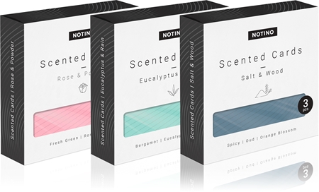 Notino Home Collection Scented Cards Eucalyptus & Rain carta profumata