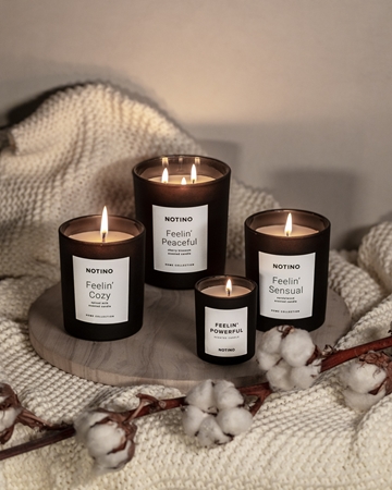 Notino Home Collection Feelin' Confident (Cedarwood Scented Candle) bougie parfumée