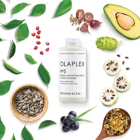 Olaplex N°5 Bond Maintenance Conditioner strengthening conditioner for hydration and shine