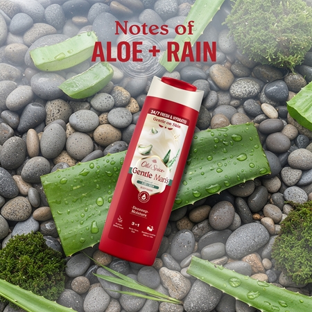 Old Spice Gentle Man's Aloe & Rain Duschgel 3 in1