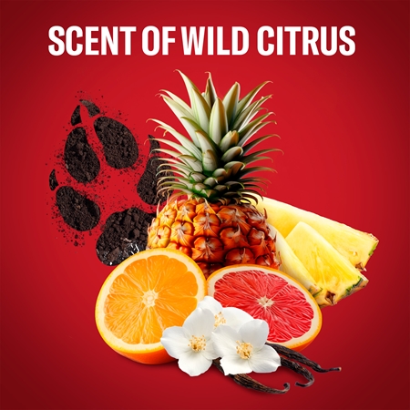 Old Spice Wolfthorn dezodorans u spreju za muškarce