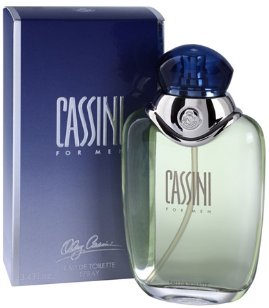 Brand Oleg Cassini Pour Homme Eau de Toilette for Men 100 ml