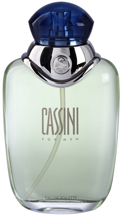 Brand Oleg Cassini Pour Homme Eau de Toilette for Men 100 ml