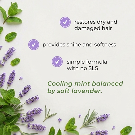 Olival Micellar Mint and Lavender Micelārais šampūns sausiem un bojātiem matiem