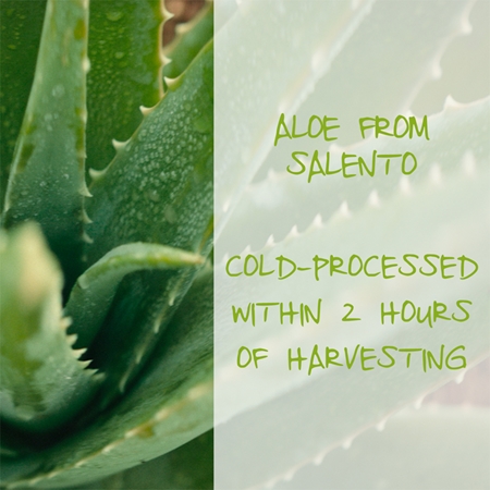 Omia Laboratories Aloe Vera del Salento opalovací sprej SPF 30