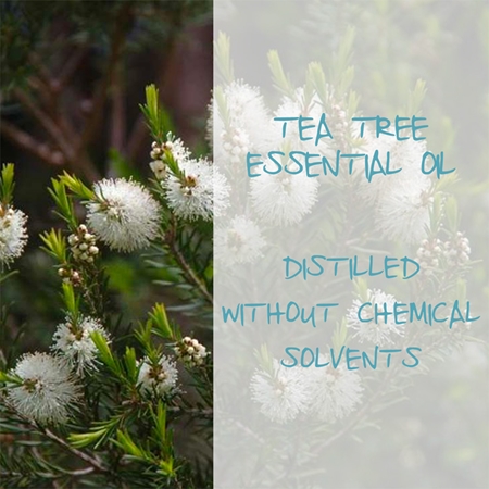 Omia Laboratories Olio di Melaleuca hydratační šampon proti lupům s Tea Tree oil