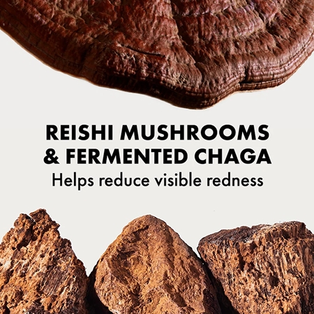 Origins Dr. Andrew Weil for Origins™ Mega-Mushroom Relief & Resilience Soothing Treatment Lotion omekšavajuća i umirujuća voda za lice