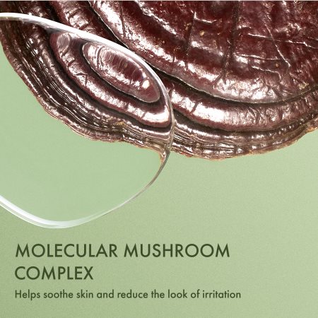 Origins Dr. Andrew Weil for Origins™ Mega-Mushroom Fortifying Emulsion with Reishi and Seabuckthorn emulsão hidratante e apaziguadora