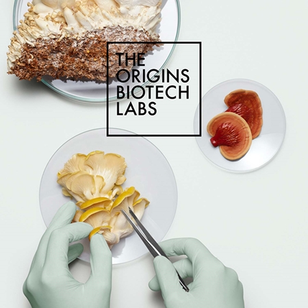 Origins Calm & Steady Mega-Mushroom Set coffret cadeau