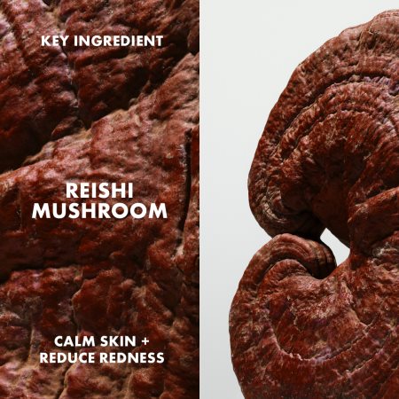 Origins Dr. Andrew Weil for Origins™ Mega-Mushroom Set подарунковий набір (для обличчя )