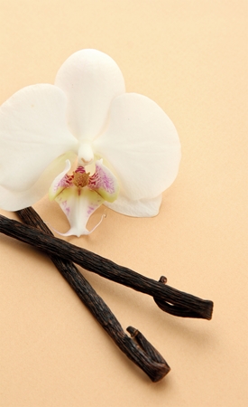 Orofluido Elixir huile nourrissante cheveux