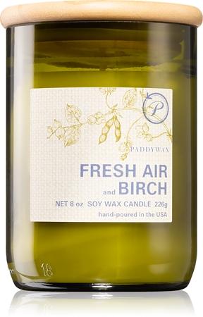 Paddywax Eco Green Fresh Air & Birch αρωματικό κερί