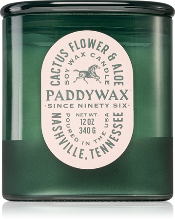 Paddywax Vista Cactus Flower & Aloe bougie parfumée