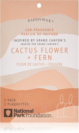 Paddywax Parks Cactus Flower + Fern autotuoksu