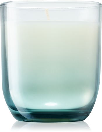 Paddywax Enneagram Enthusiast (Cactus Flower) vela perfumada