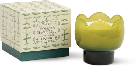 Paddywax Tulip Verbena & Lemongrass Duftkerze