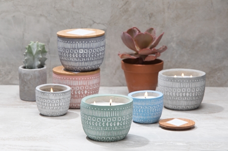 Paddywax Sonora Wisteria & Willow αρωματικό κερί
